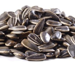 Organic Sunflower Seeds